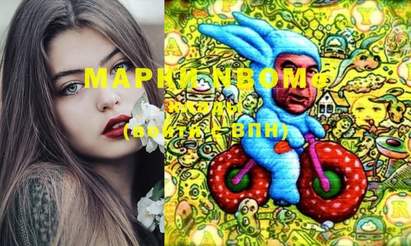стаф Арсеньев