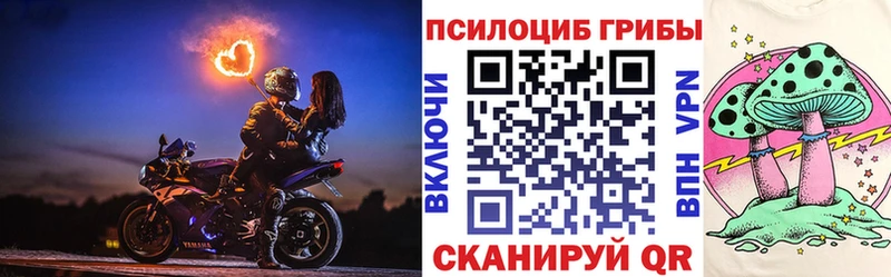 Галлюциногенные грибы Psilocybine cubensis  Талдом 